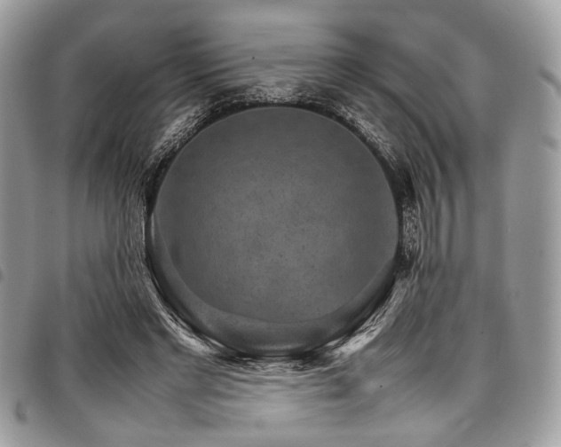 X0000098040493200803281435