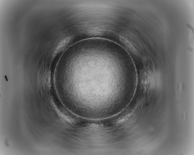 X0000098040494200803281435