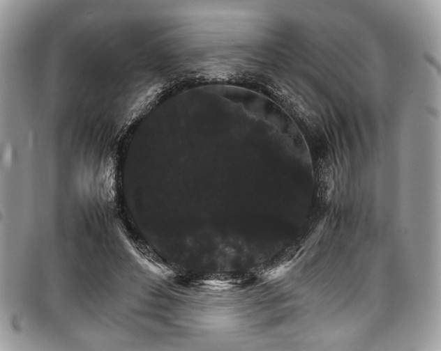 X0000098040496200803281435