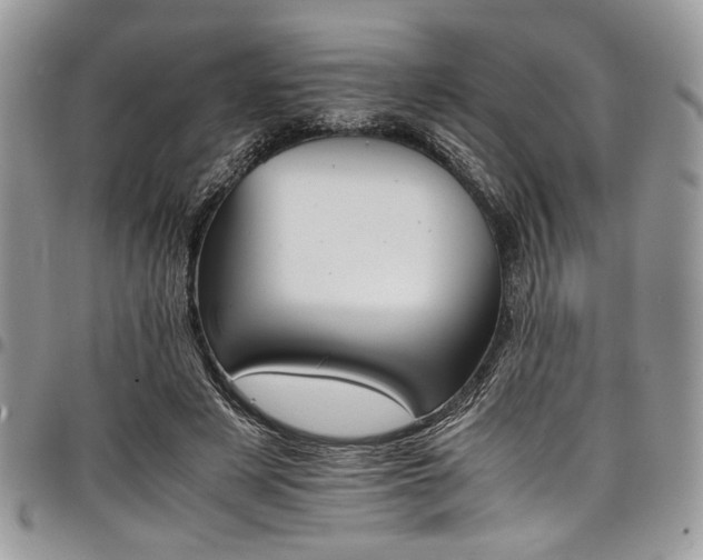 X0000098040497200803281435
