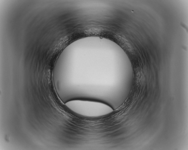 X0000098040498200803281435