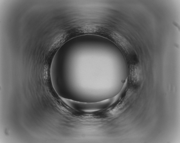 X0000098040501200803281435
