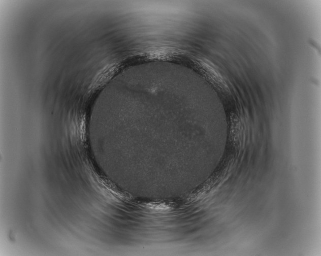 X0000098040502200803281435