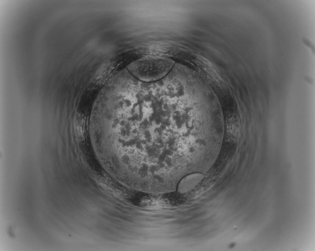 X0000098040503200803281435