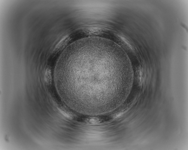X0000098040506200803281435