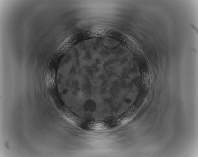 X0000098040507200803281435