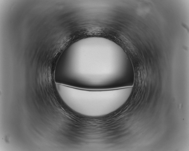 X0000098040508200803281435