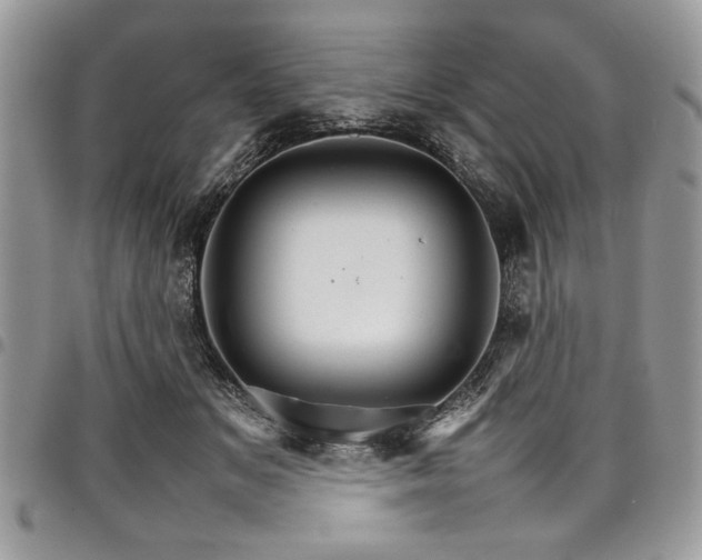 X0000098040509200803281435