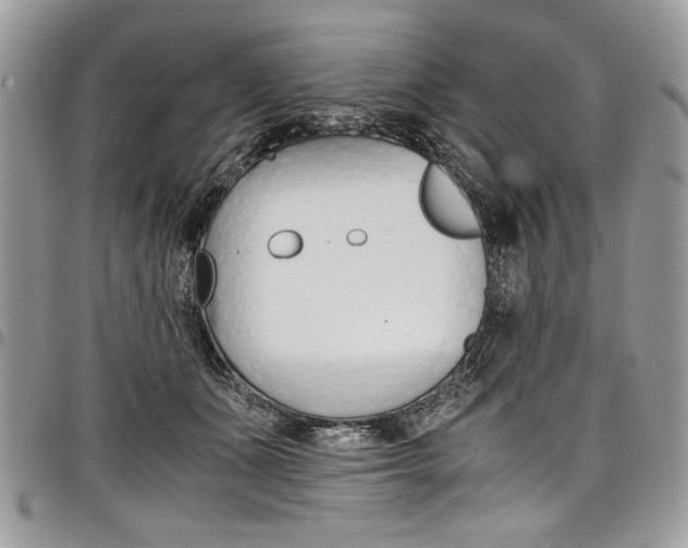 X0000098040511200803281435