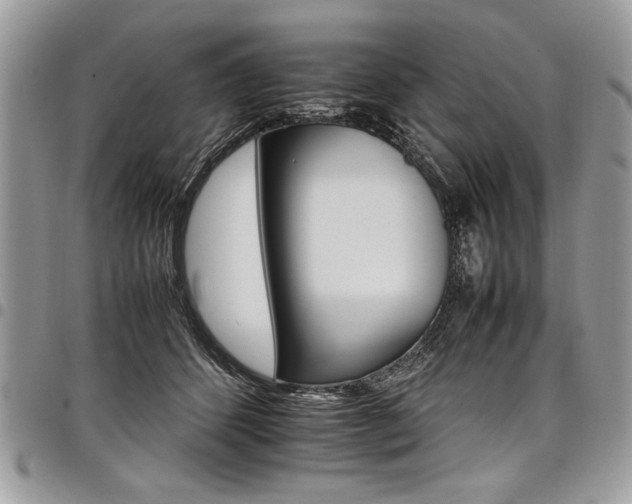 X0000098040512200803281435