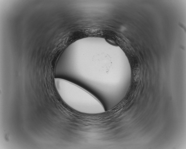 X0000098040515200803281435
