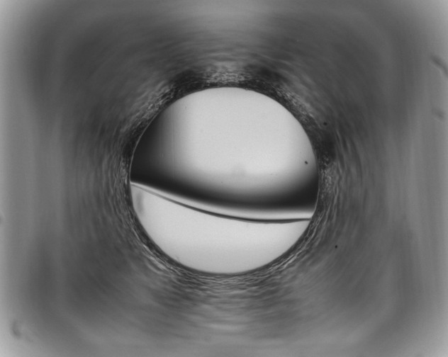 X0000098040517200803281435