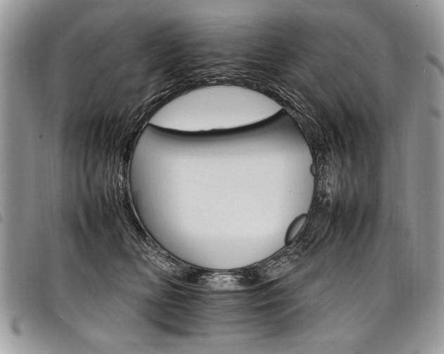 X0000098040518200803281435