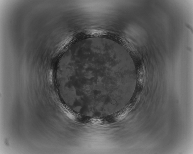 X0000098040519200803281435
