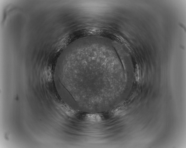 X0000098040520200803281435