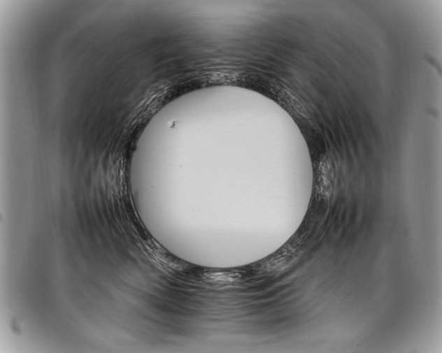X0000098040522200803281434