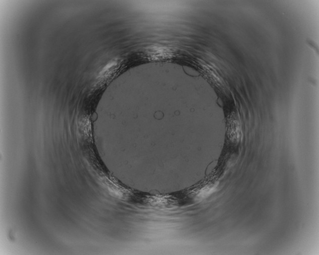 X0000098040523200803281434