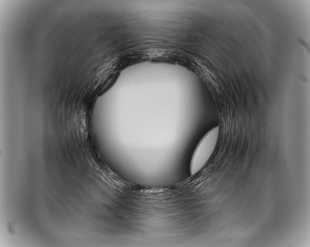 X0000098040524200803281434