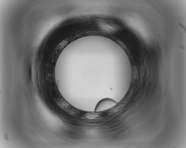 X0000098040526200803281434