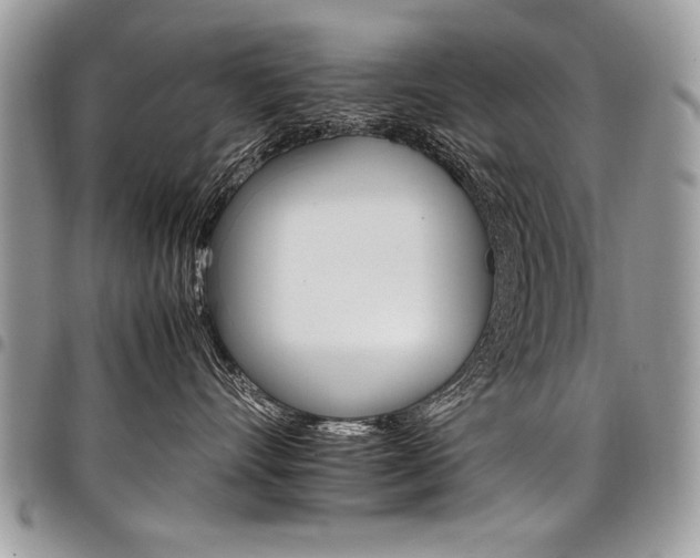 X0000098040528200803281434