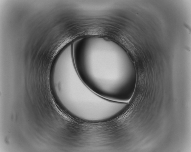 X0000098040530200803281434