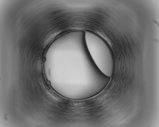X0000098040533200803281434