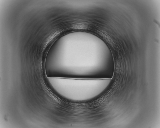 X0000098040535200803281434
