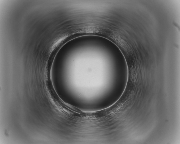 X0000098040536200803281434