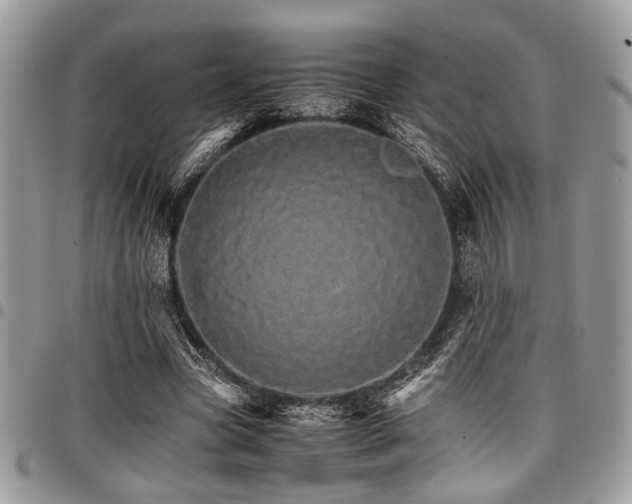 X0000098040537200803281434