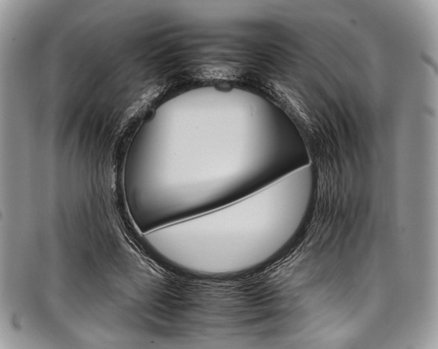 X0000098040539200803281434