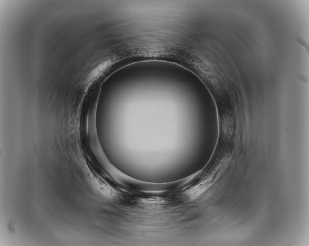 X0000098040540200803281434