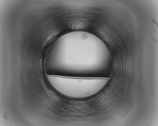 X0000098040543200803281434