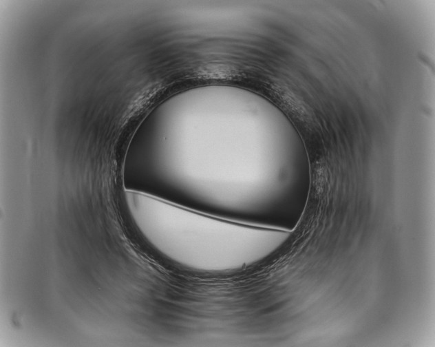 X0000098040544200803281434
