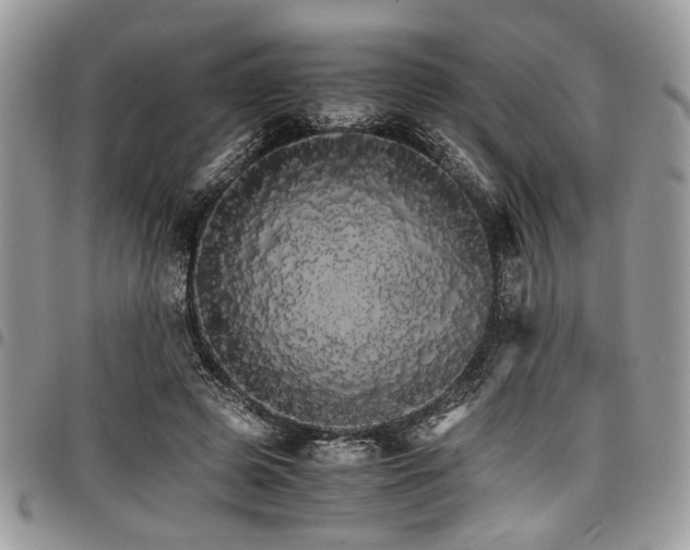 X0000098040545200803281434