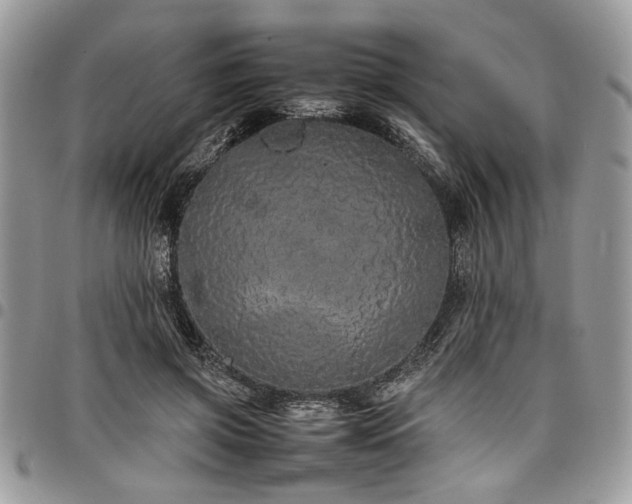 X0000098040549200803281434
