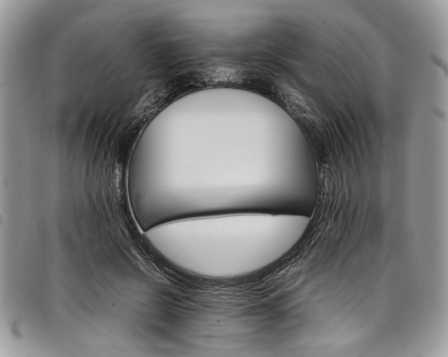 X0000098040550200803281434
