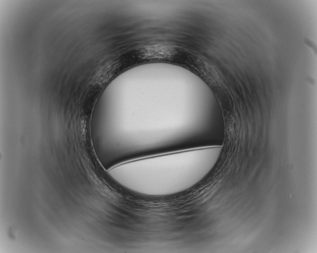 X0000098040551200803281434