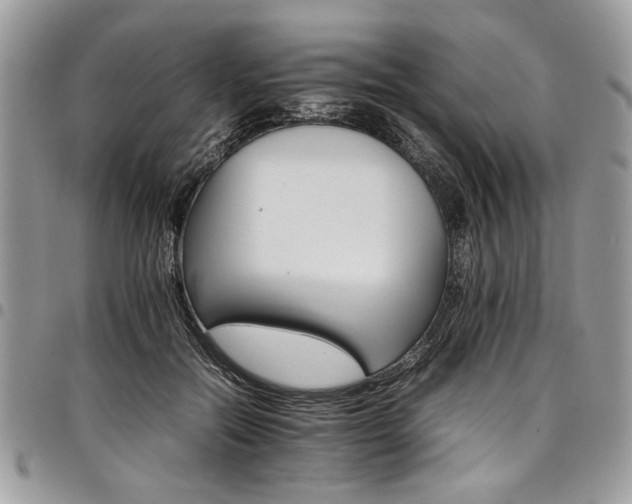 X0000098040554200803281434