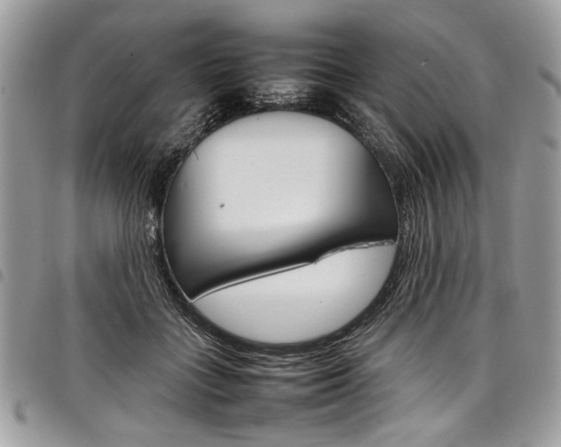 X0000098040555200803281434
