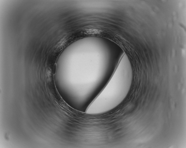 X0000098040556200803281434