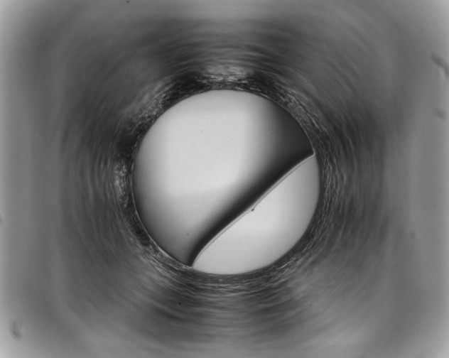 X0000098040559200803281434