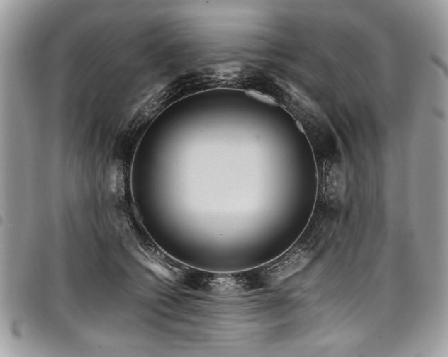 X0000098040562200803281434