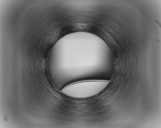 X0000098040563200803281434