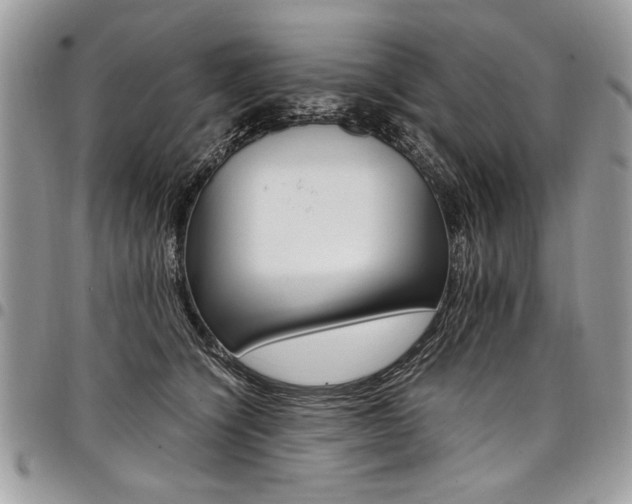 X0000098040564200803281434