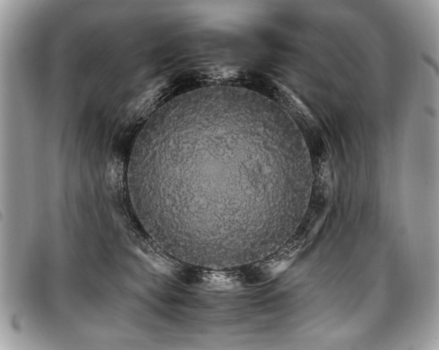 X0000098040565200803281434