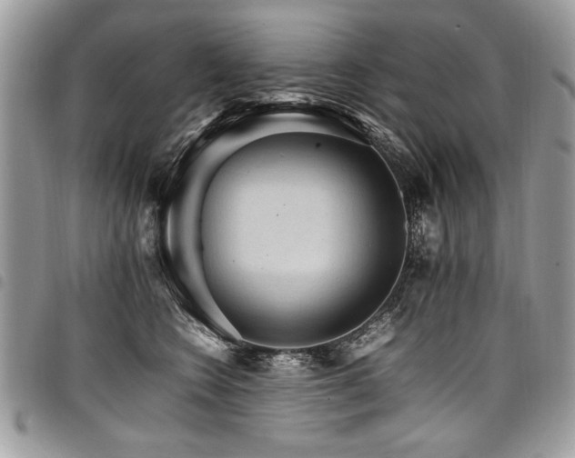 X0000098040566200803281434