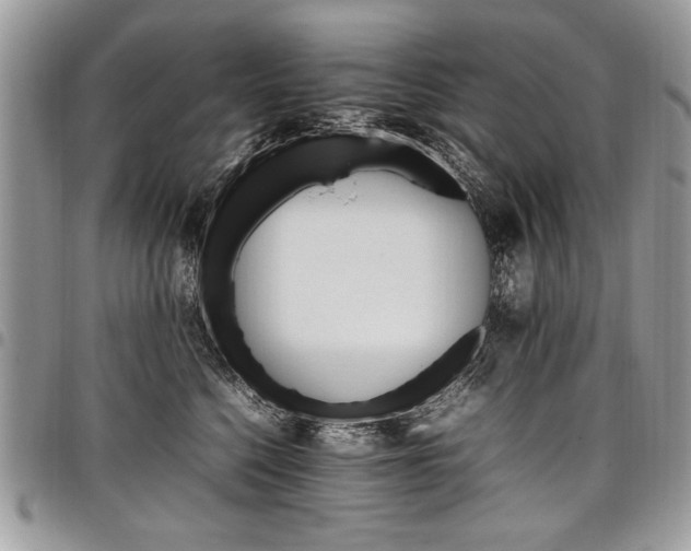 X0000098040568200803281434