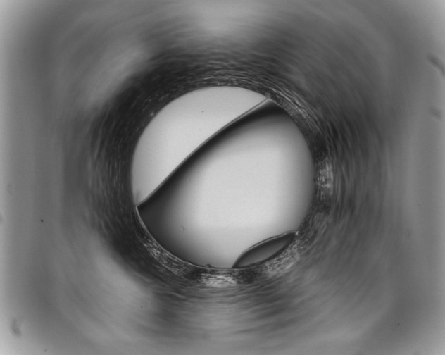 X0000098040572200803281434