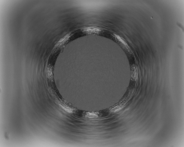 X0000098040573200803281434