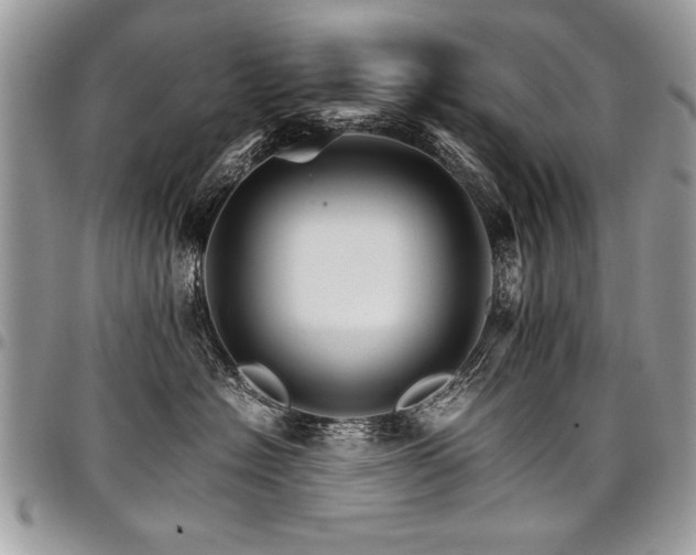 X0000098040574200803281434